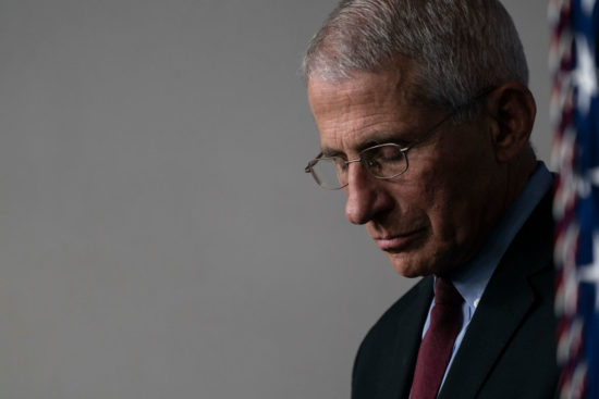 Fauci - hoto by Sarah Silbiger/Getty Images